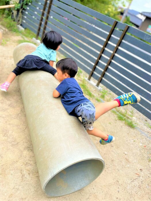 6月個別支援⑤園庭の生き物