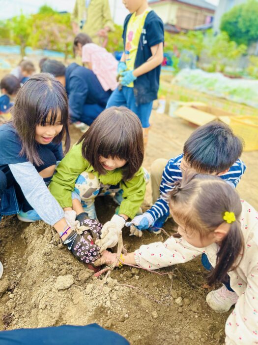 土曜NatureTrip10月④サツマイモ堀り